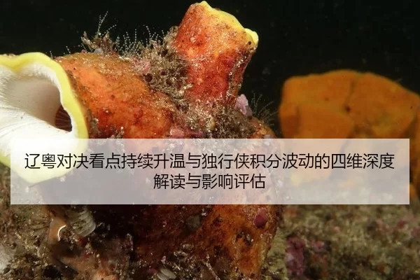 辽粤对决看点持续升温与独行侠积分波动的四维深度解读与影响评估